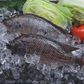 Продаваме риба тилапия- екологично отглеждана и 100 % ГМО чиста 