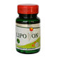 lipovon