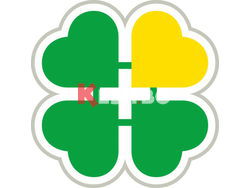 ТРУДОВА МЕДИЦИНА