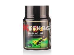 черна мравка кинг