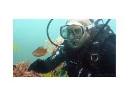 ЧАСТНО ВОДОЛАЗНО УЧИЛИЩЕ HARRYS DIVE CENTER