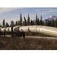 Започва изграждането на газова връзка до Сърбия