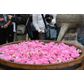 Български и китайски фирми ще произвеждат розово масло