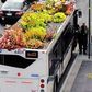 Автобус с полянка на покрива- нотка на свежест и еко идея от Испания