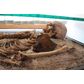 Откриха скелет на „вампир“ при разкопки край Перперикон