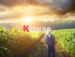 Безплатни консултации за фермери от експерти, обикалящи България