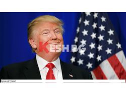 Интересни новини от България и света