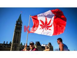 Легализиране на марихуаната в Канада