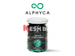 Spirulina.bg - свежа спирулина